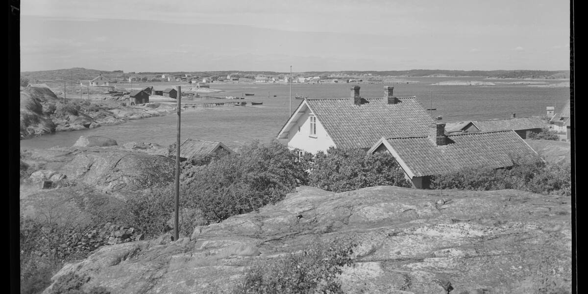 Herføl sett fra sjøen