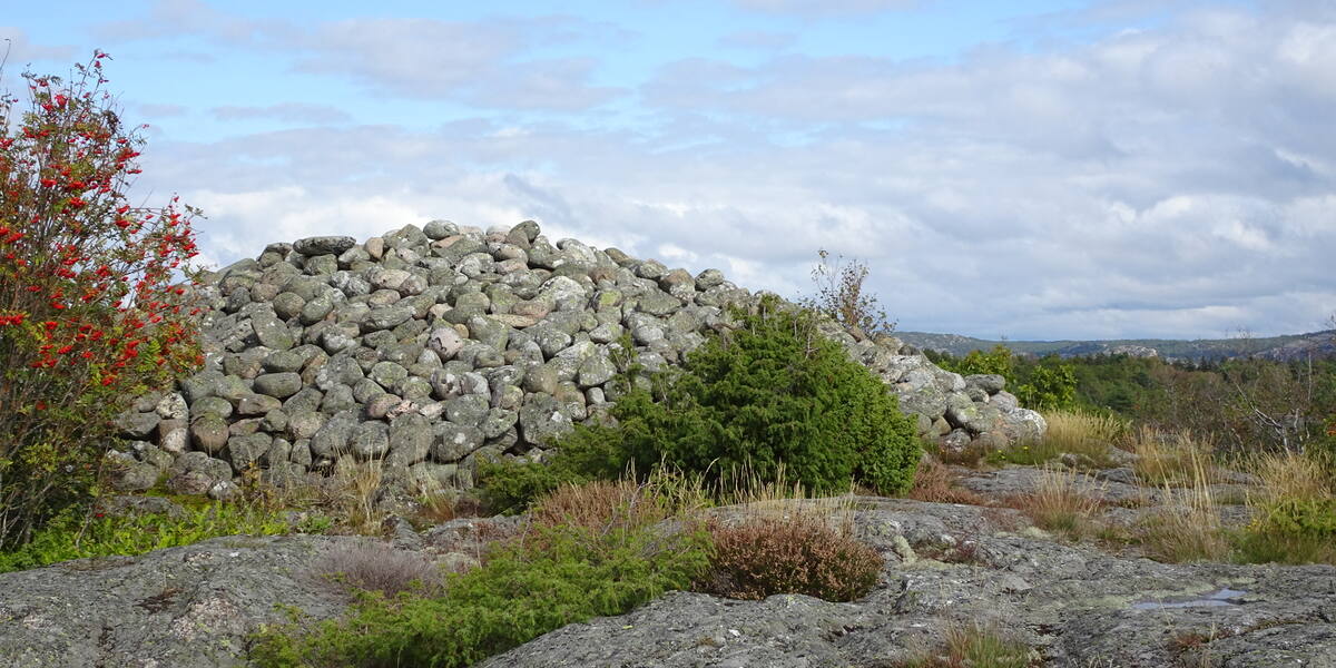 Søndre Sandøy sett fra sjøen